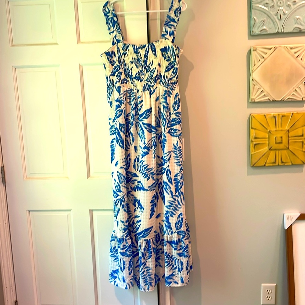 Beautiful lined maxi dress